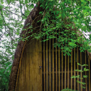 graminea_mesa_de_trabajo_1